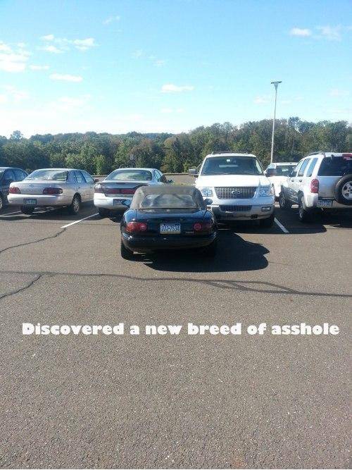 assh*le