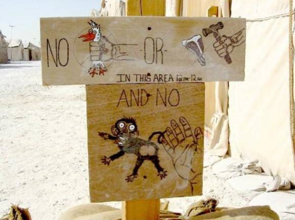 It’s a fap free zone