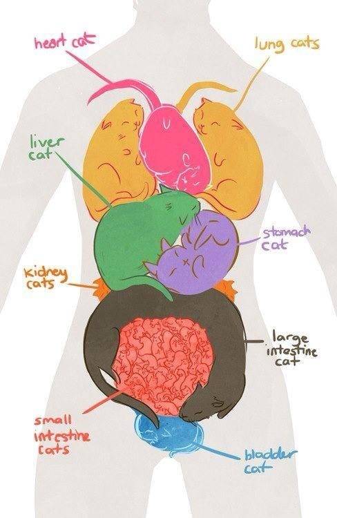 CAT scan
