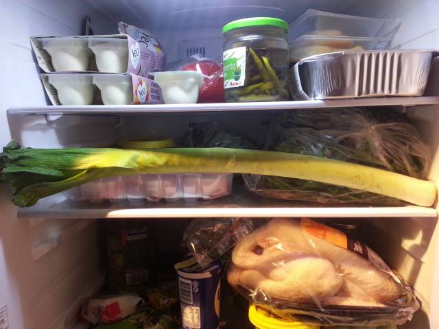 When my girlfriend said we had a massive leak in the fridge..