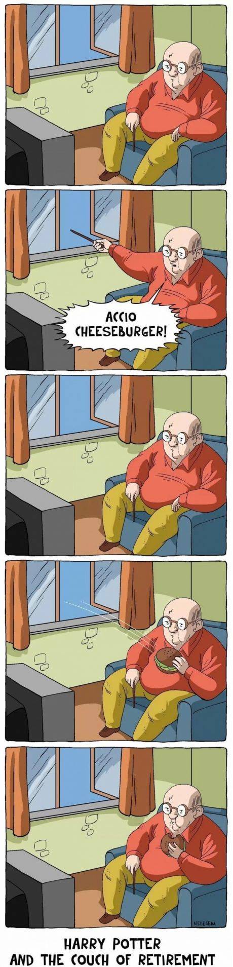 Harry Potter: The Chronicles of the Retirement
