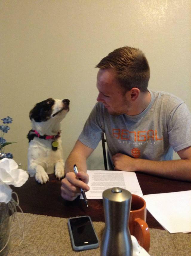 I recently started working from home. My new boss is a bit of a stickler....