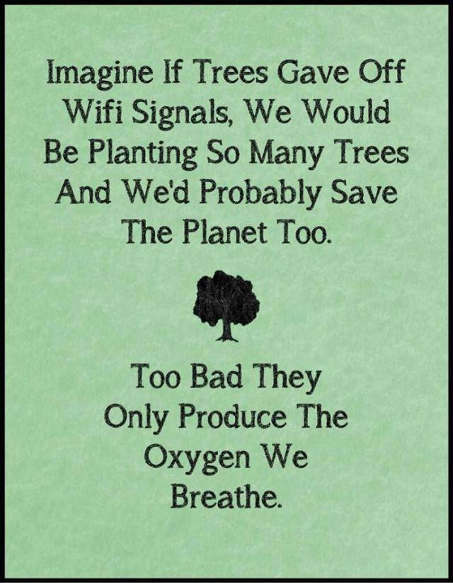 Too bad.