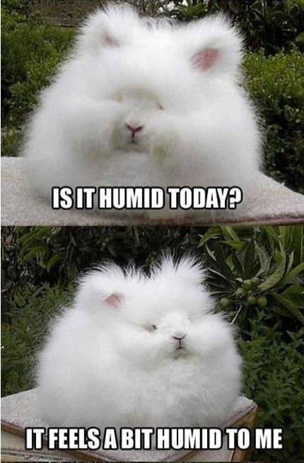 Still my favorite picture on the internet.