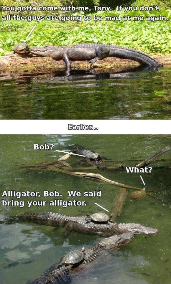 I just saw a continuation of the story