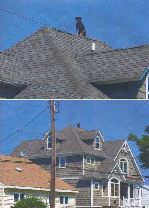 How the hell did you get up there?