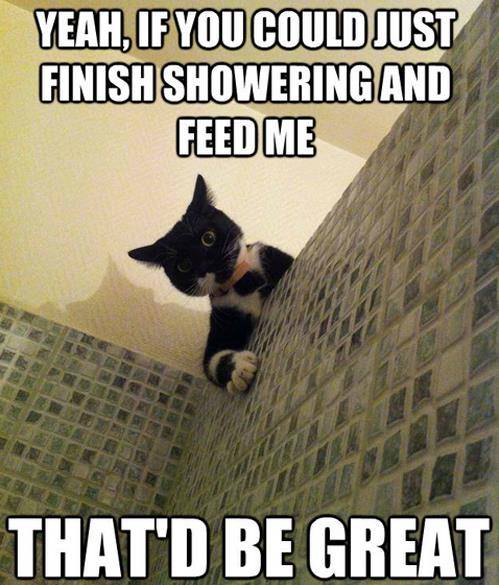 No privacy