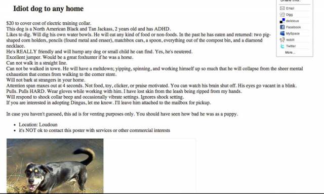 Best of Craigslist. Please Adopt Dingus. We cried from laughing so hard.