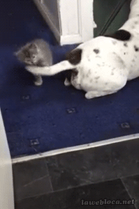 Boxing training.