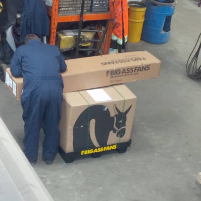 So we got a big ass fan at work today...