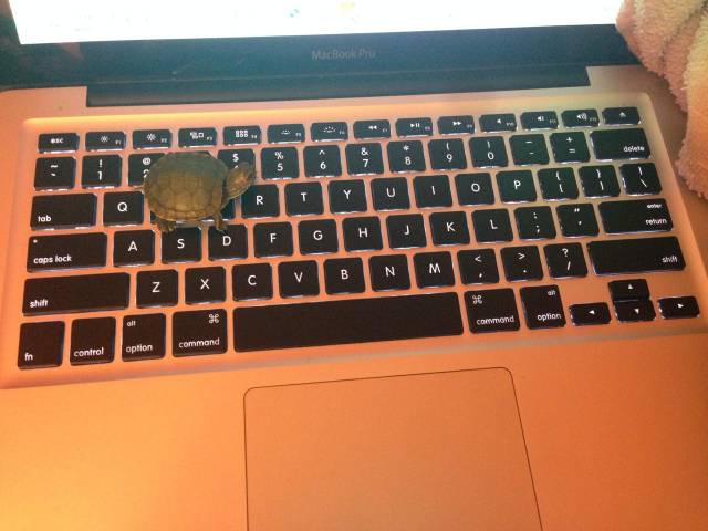 Man, this essay is taking a long time...