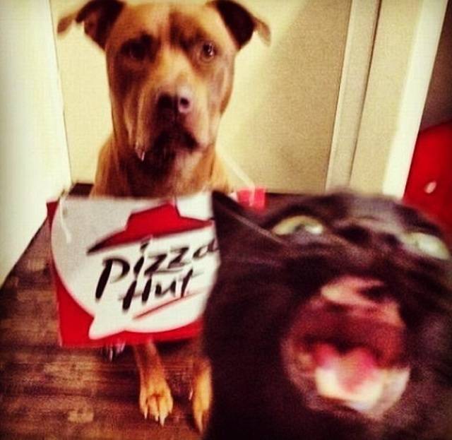 PIZZA!!!