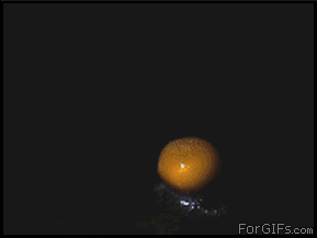Oddly satisfying gif of the day