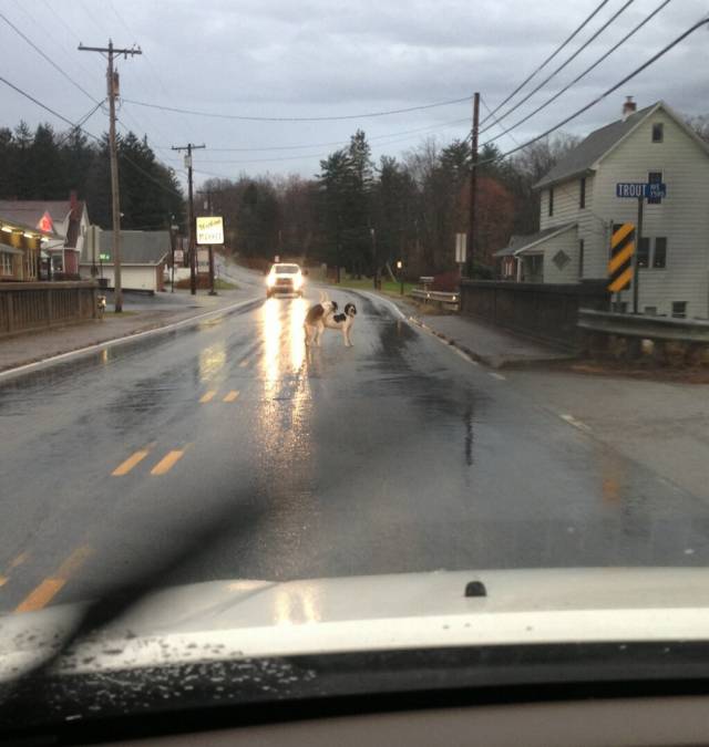 Got this picture from my cousin today. She said, 