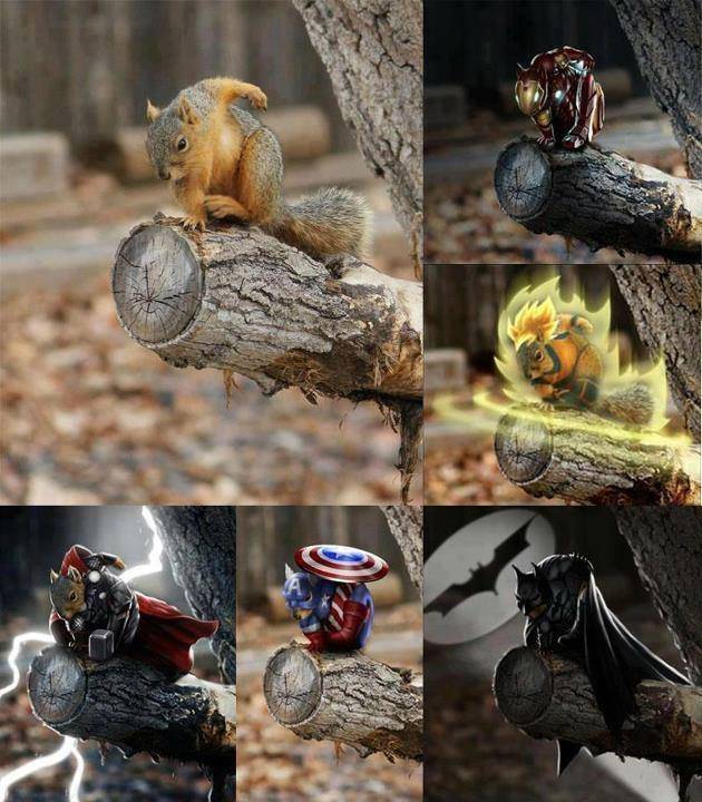 Super Squirrel