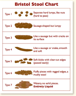 Know what's the best everyday bowel movement