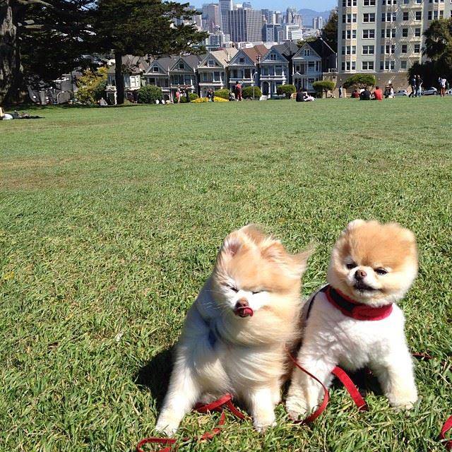 f*ck wind.