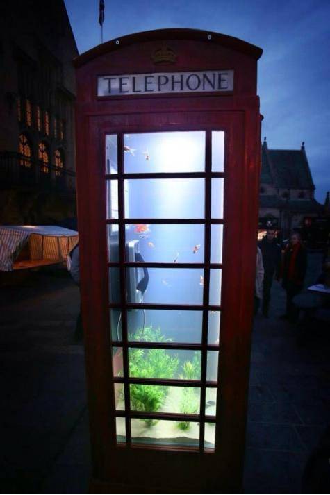 A light festival in my city turned a British phone box into a fish tank