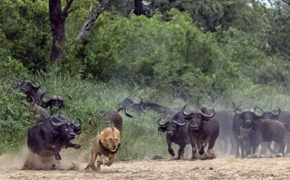 Wrong neighborhood motherf*cker