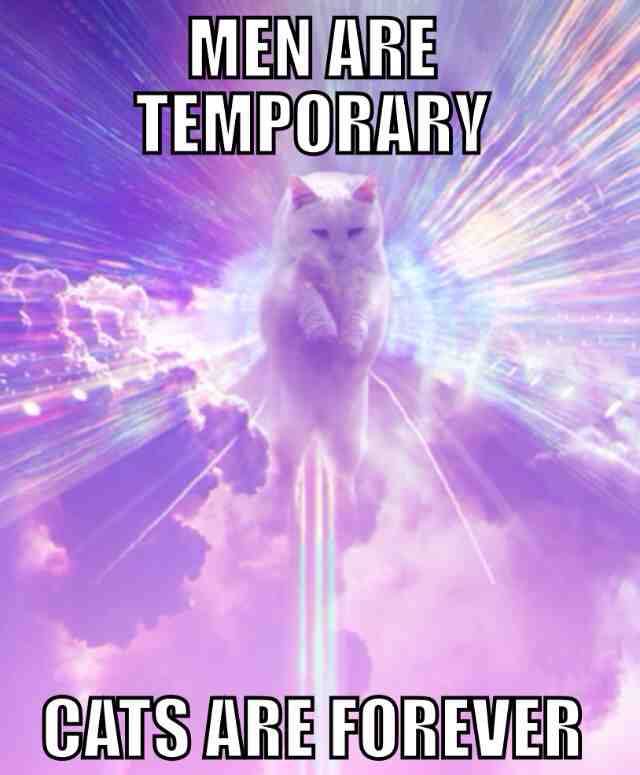 my girlfriend sent this to me when I told her she can't have a cat as a pet because I'm allergic to them.