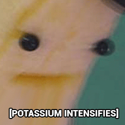 high on potassium