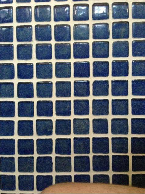 My aunts bathroom has the dot illusion in the tiles.