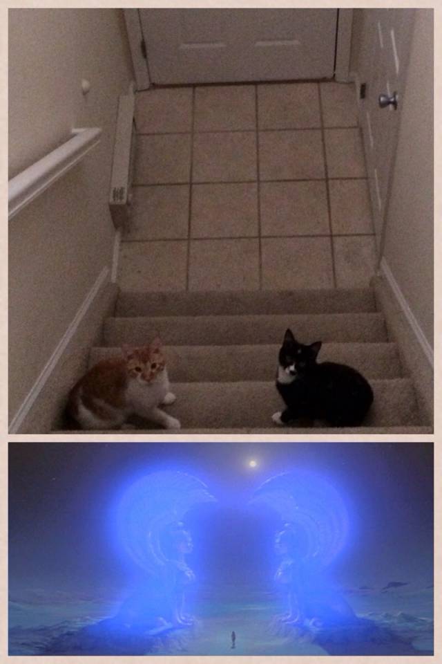 Leaving For Work Every Morning