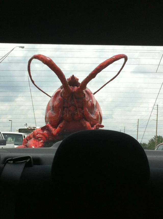 On the short list of things that you don't want to see chasing you in your rear-view mirror