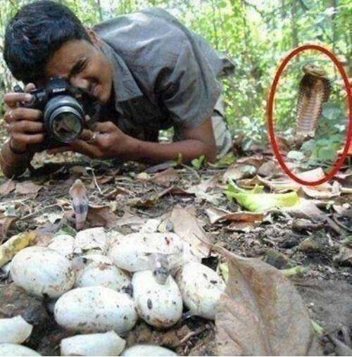 When you should buy a longer lens
