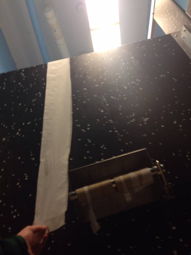 So my stall ran out of toilet paper, then I sighed, then this stream of toilet paper started to ripple down the side of my stall