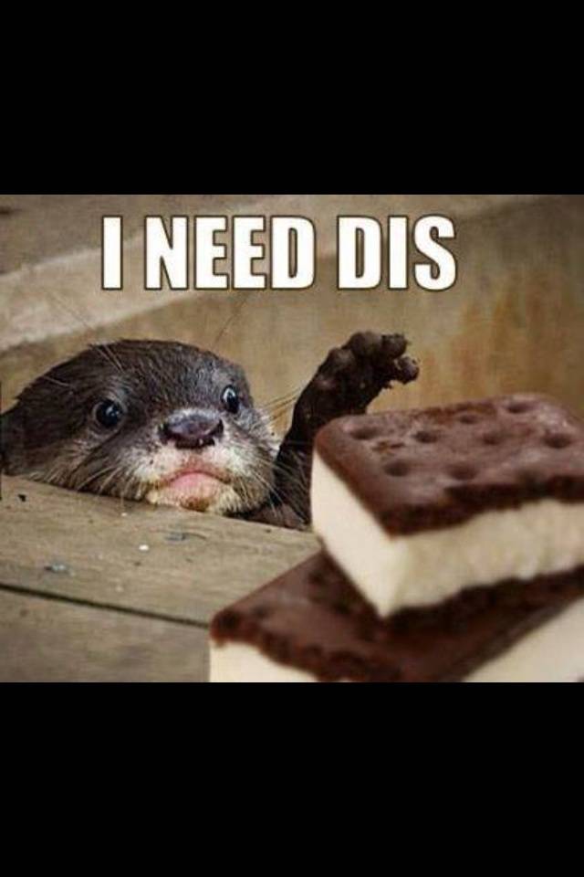 My thought process when I see something I really don't need...