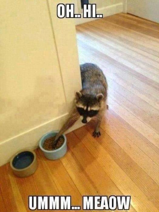 Oh.. Hi