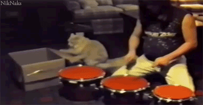 You are doing it wrong! Faster human.