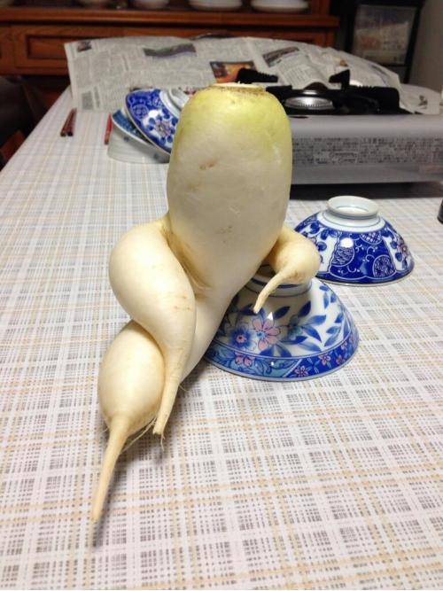 An exceptionally suave and sophisticated daikon radish