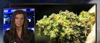 Everyone Knows You’re High and You’ll be Stoned Forever – The Onion
