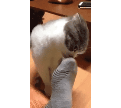 WHY WOULD YOU LET ME SMELL THOSE?