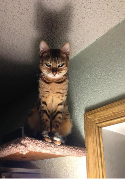 What I see every night before bed