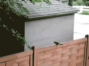 Okay, I got this...