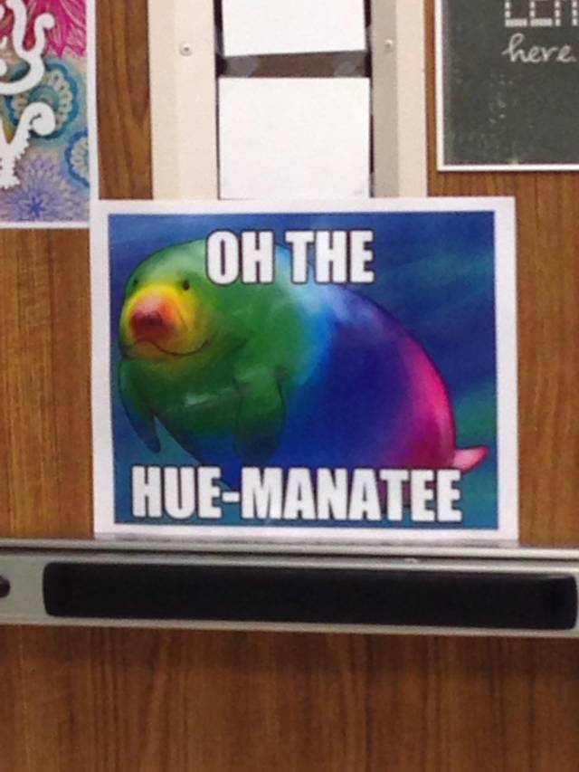 My art teacher everyone.