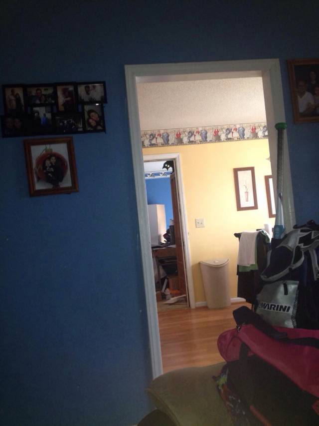 I always knew my cat was a demon...