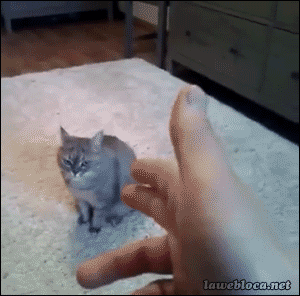 Really?... Fine, I'll do it...