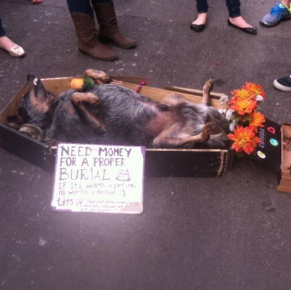 assh*le street performers. Found on bourbon st in New Orleans. Almost started crying until he started moving