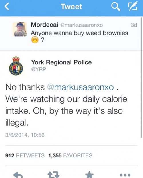 Weed brownies