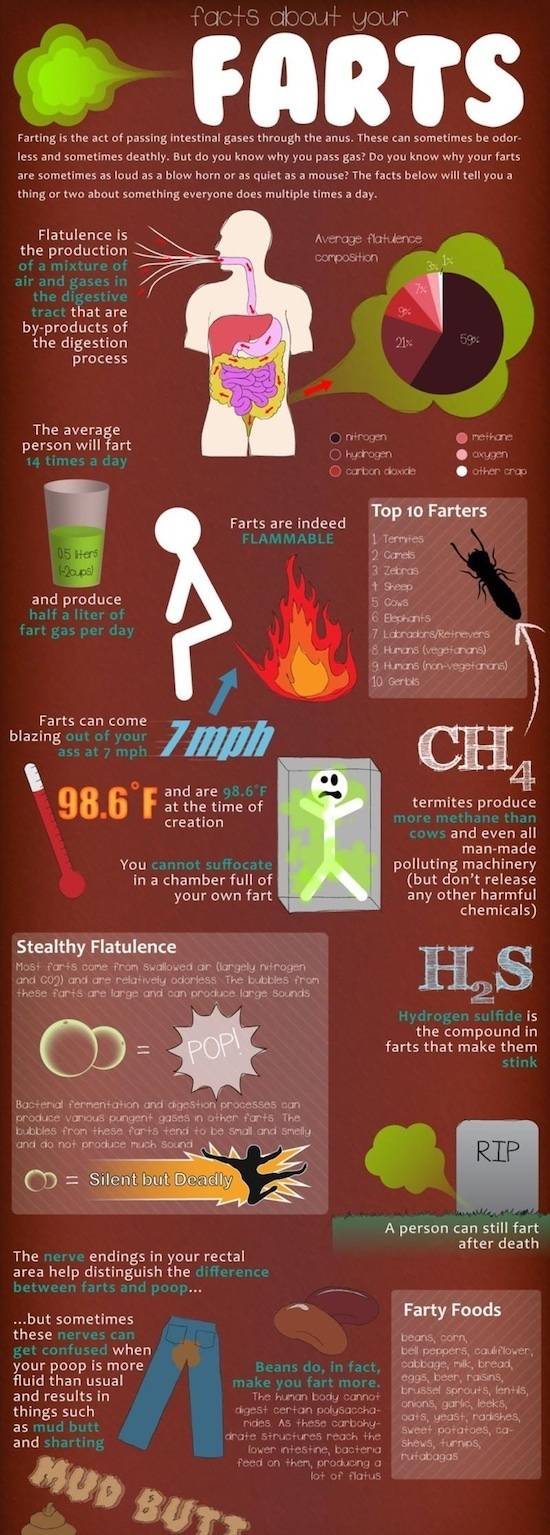 Facts about your farts An Infographic