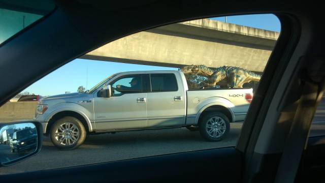 Saw someone about to die on my way to work this morning
