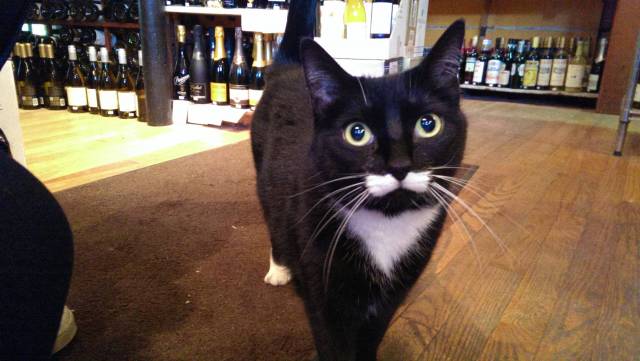 After complimenting him on an amazing mustache, I was informed SHE is self conscious about her lady-stache. Found her in Beacon Hill Wine & Spirits in Boston Ma.