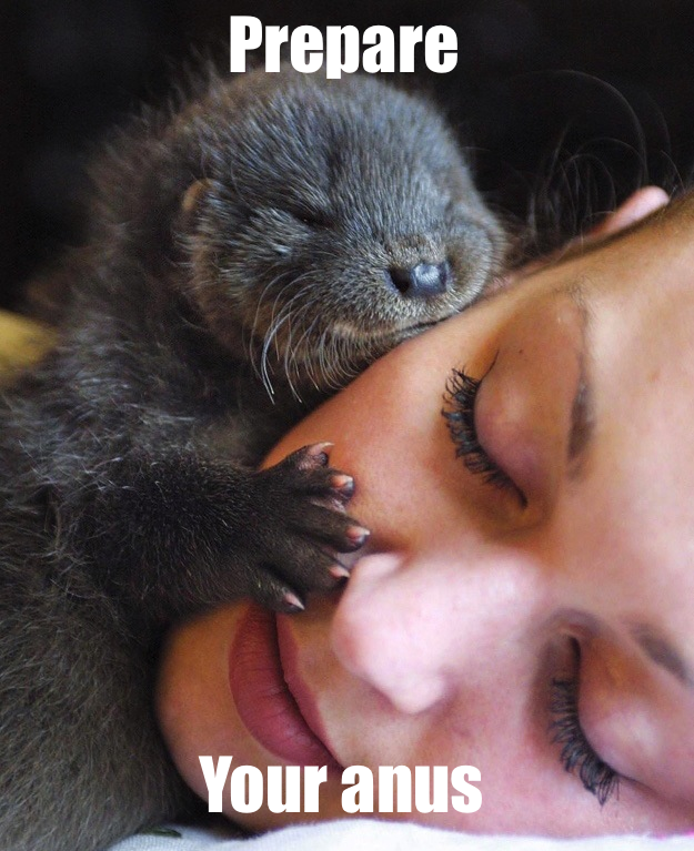 This is NOT how I wish to be woken up every morning.