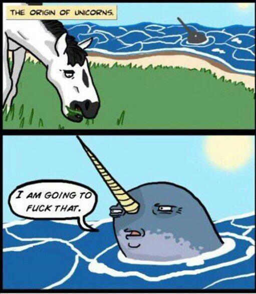 The origin of unicorns.