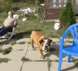 Life is hard