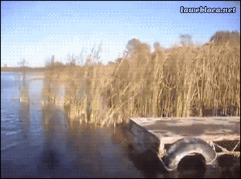 Oh f*ck my brakes!